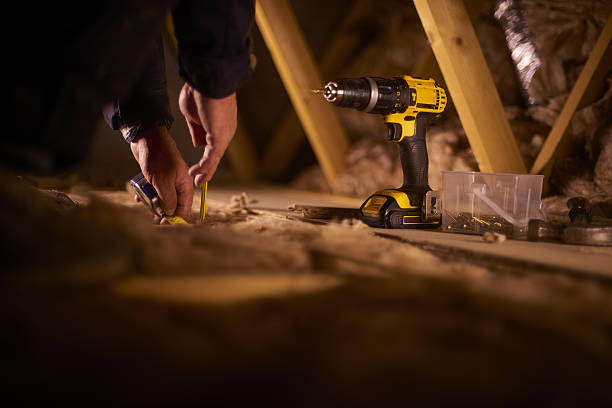 Best Insulation Removal Services  in Rigby, ID
